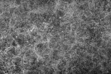 صورة الكاتبة 