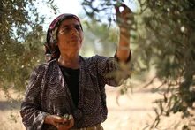 Yours Truly, From Idlib