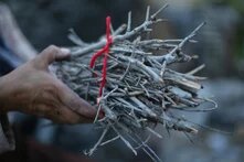 Yours Truly, From Idlib