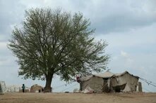 Yours Truly, From Idlib