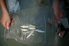 Yours Truly, From Idlib