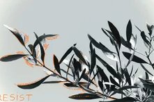 End of al-Assad's 54-year rule: Syrian feminist views on the transitional phase