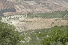 Hills of Mount Aleppo