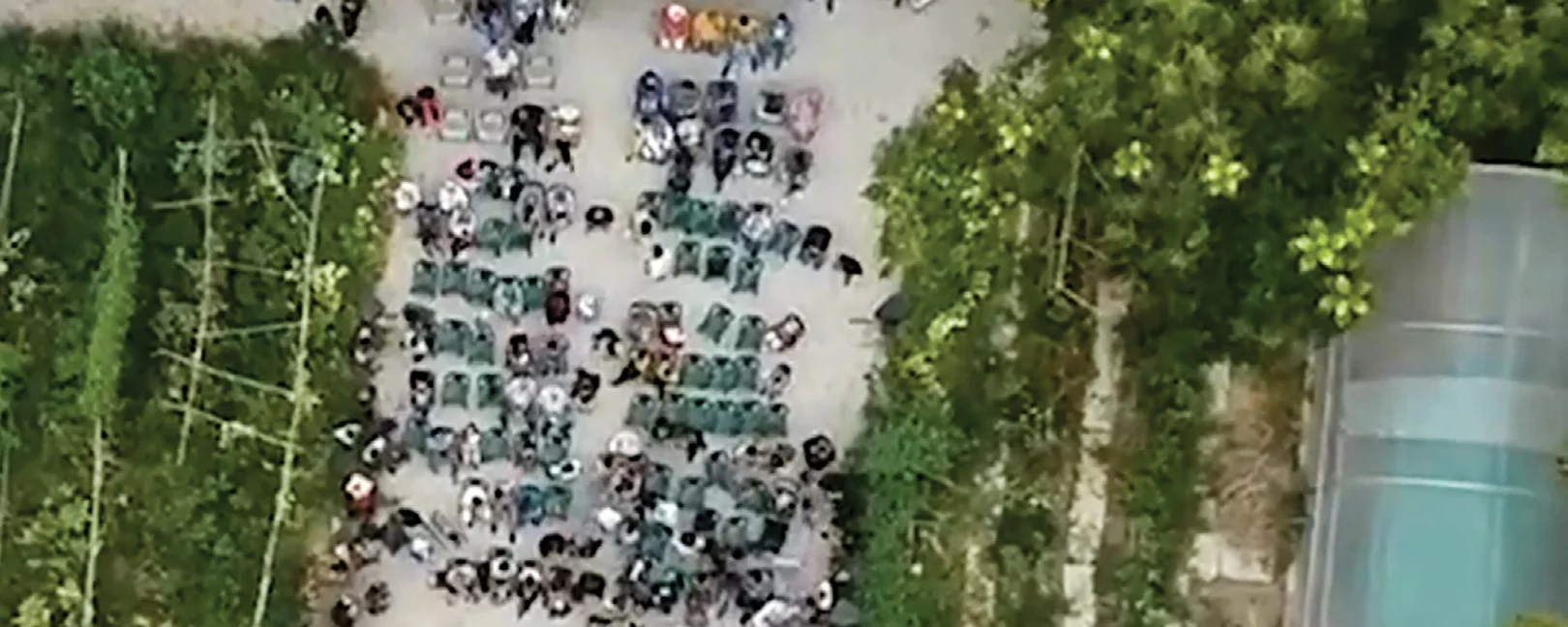 Lecture between trees