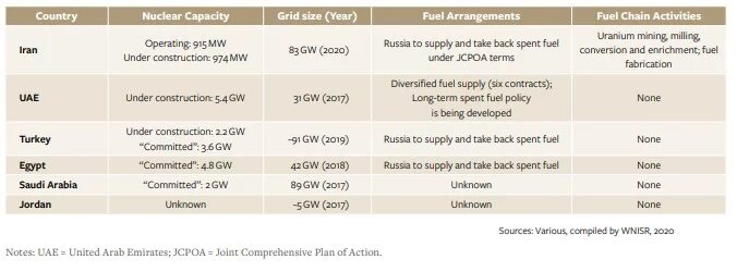 FIGURE 1 Typology of Nuclear Power Programs in the Middle East