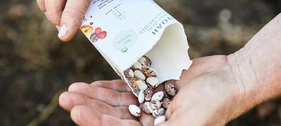 seed is the common property of all people Seeds on a hand